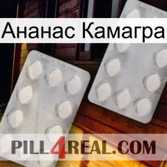 Ананас Камагра 17